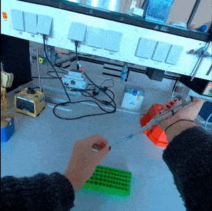 Lehrvideos go VR - 180° Video showing the pipetting of liquids from a first person perspective
